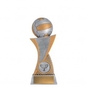 Netball Trophy 10021A - Trophy Land Netball Trophy 10021A - Trophy Land