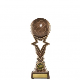 Netball Trophy 1137-8B - Trophy Land Netball Trophy 1137-8B - Trophy Land