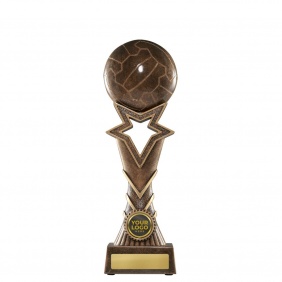 Netball Trophy 1137-8C - Trophy Land Netball Trophy 1137-8C - Trophy Land