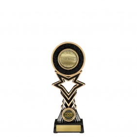 Netball Trophy 1137GA-MD8GA - Trophy Land Netball Trophy 1137GA-MD8GA - Trophy Land