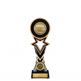 Netball Trophy 1137GB-MD8B - Trophy Land Netball Trophy 1137GB-MD8B - Trophy Land