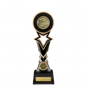 Swimming Trophy 1137GC-MD2 - Trophy Land