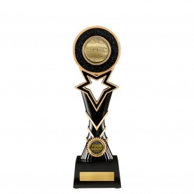 Netball Trophy 1137GC-MD8B - Trophy Land Netball Trophy 1137GC-MD8B - Trophy Land