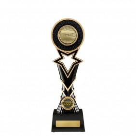 Netball Trophy 1137GC-MD8GA - Trophy Land Netball Trophy 1137GC-MD8GA - Trophy Land