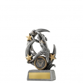 Netball Trophy 1145-8A - Trophy Land Netball Trophy 1145-8A - Trophy Land
