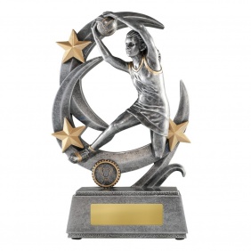 Netball Trophy 1145-8E - Trophy Land Netball Trophy 1145-8E - Trophy Land