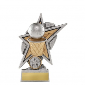 Netball Trophy 1149-8B - Trophy Land Netball Trophy 1149-8B - Trophy Land
