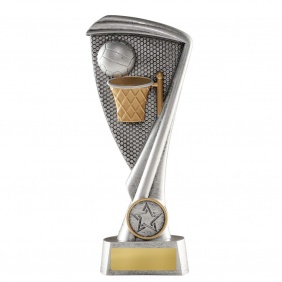 Netball Trophy 1150-8C - Trophy Land Netball Trophy 1150-8C - Trophy Land