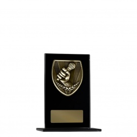 Education Trophy 1215BKA-MS48G - Trophy Land
