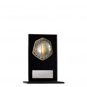 Netball Trophy 1215BKA-RI8B - Trophy Land Netball Trophy 1215BKA-RI8B - Trophy Land
