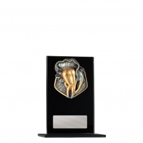 Novelty Trophy 1215BKA-RI90G - Trophy Land
