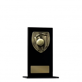 Cricket Trophy 1215BKB-MS1G - Trophy Land