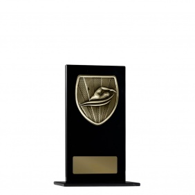 Swimming Trophy 1215BKB-MS2G - Trophy Land