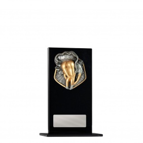 Novelty Trophy 1215BKB-RI90G - Trophy Land
