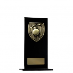 Cricket Trophy 1215BKC-MS1G - Trophy Land