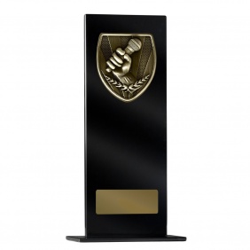 Education Trophy 1215BKE-MS48G - Trophy Land