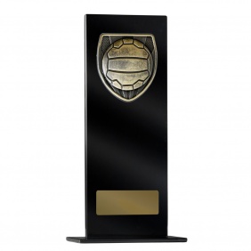 Netball Trophy 1215BKE-MS8B - Trophy Land Netball Trophy 1215BKE-MS8B - Trophy Land