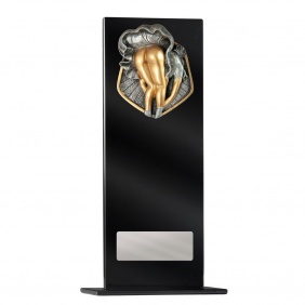 Novelty Trophy 1215BKE-RI90G - Trophy Land