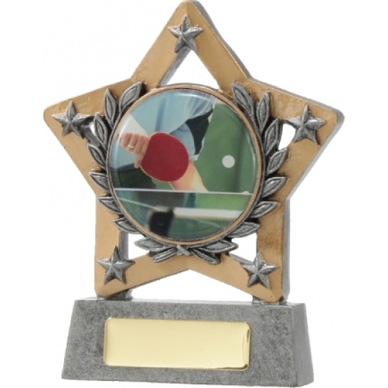 12999 - Achievement Mini Star 130mm (50) - Trophy Land 12999 - Trophy Land