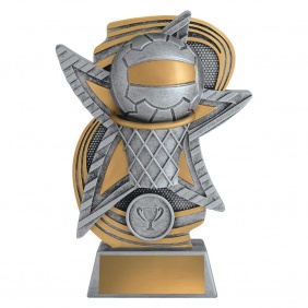 Netball Trophy 16197C - Trophy Land Netball Trophy 16197C - Trophy Land