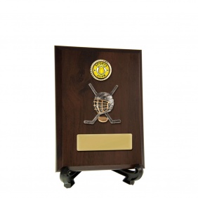 Ice Hockey Trophy 8231CH-CF25G - Trophy Land Ice Hockey Trophy 8231CH-CF25G - Trophy Land