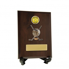 Ice Hockey Trophy 8232CH-CF25G - Trophy Land Ice Hockey Trophy 8232CH-CF25G - Trophy Land