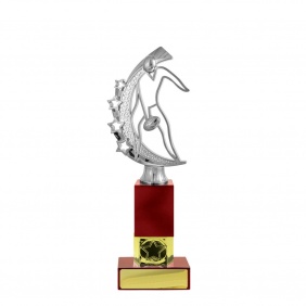A F L Trophy A10D - Trophy Land A F L Trophy A10D - Trophy Land