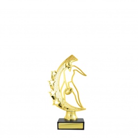 A F L Trophy A11A - Trophy Land A F L Trophy A11A - Trophy Land