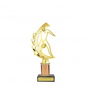 A F L Trophy A11C - Trophy Land A F L Trophy A11C - Trophy Land
