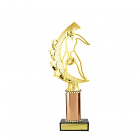 A F L Trophy A11D - Trophy Land A F L Trophy A11D - Trophy Land