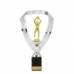 A F L Trophy A13C - Trophy Land A F L Trophy A13C - Trophy Land