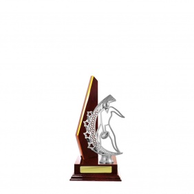 A F L Trophy A17CHA - Trophy Land A F L Trophy A17CHA - Trophy Land