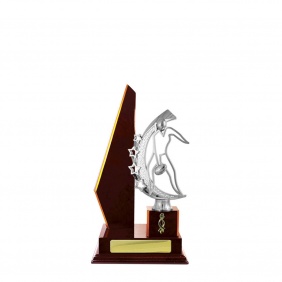 A F L Trophy A17CHB - Trophy Land A F L Trophy A17CHB - Trophy Land