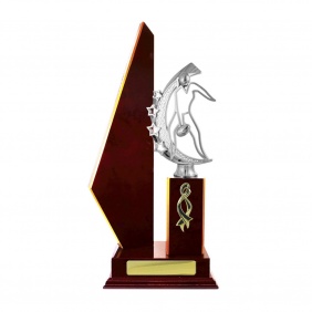 A F L Trophy A17CHE - Trophy Land A F L Trophy A17CHE - Trophy Land