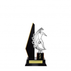 A F L Trophy A17DKB - Trophy Land A F L Trophy A17DKB - Trophy Land