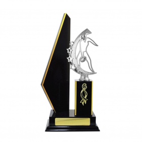 A F L Trophy A17DKE - Trophy Land A F L Trophy A17DKE - Trophy Land