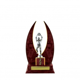 A F L Trophy A19CHB - Trophy Land A F L Trophy A19CHB - Trophy Land