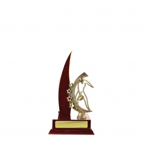 A F L Trophy A23CHA - Trophy Land A F L Trophy A23CHA - Trophy Land