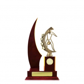 A F L Trophy A23CHC - Trophy Land A F L Trophy A23CHC - Trophy Land