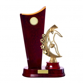 A F L Trophy A29CHC - Trophy Land A F L Trophy A29CHC - Trophy Land