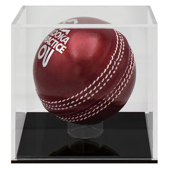 ACB90 - Trophy Land
