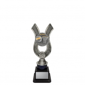 Netball Trophy ANC191B - Trophy Land Netball Trophy ANC191B - Trophy Land