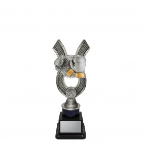 Boxing Trophy ANC32B - Trophy Land