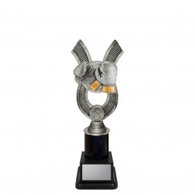 Boxing Trophy ANC32C - Trophy Land