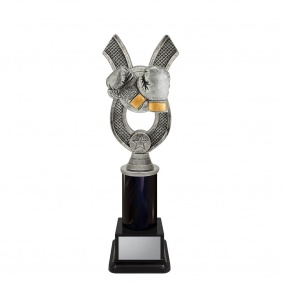 Boxing Trophy ANC32D - Trophy Land