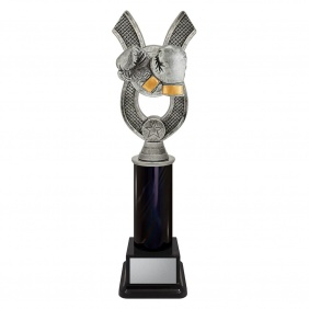 Boxing Trophy ANC32E - Trophy Land
