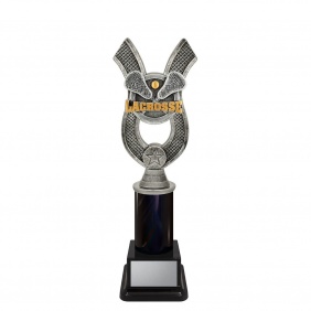 Lacrosse Trophy ANC63D - Trophy Land