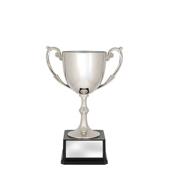 AR563B - Recognition Cups - 235mm - Trophy Land AR563B - Trophy Land