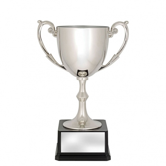 AR563D - Recognition Cups - 305mm - Trophy Land AR563D - Trophy Land