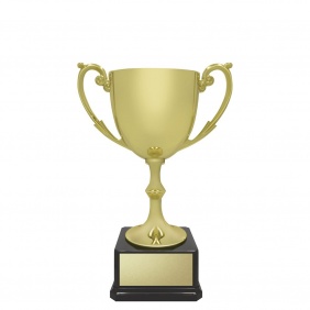 A F L Trophy AR621C - Trophy Land A F L Trophy AR621C - Trophy Land